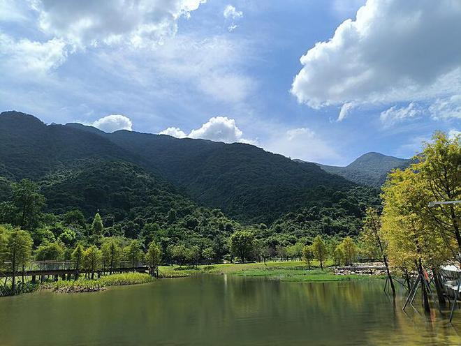 香港首现恐龙化石：揭开古生物的神秘面纱